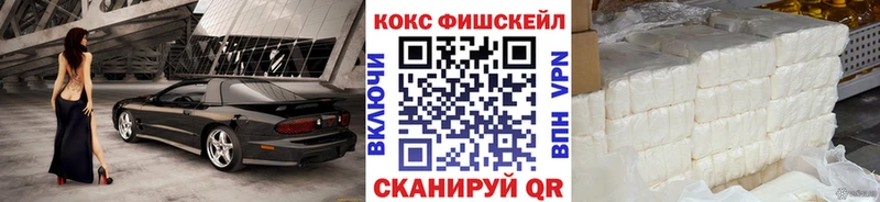КОКАИН Fish Scale  где купить   Новоржев 