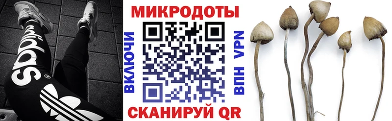 Псилоцибиновые грибы MAGIC MUSHROOMS Новоржев