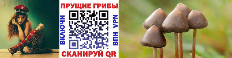 Псилоцибиновые грибы прущие грибы  купить  цена  Новоржев 
