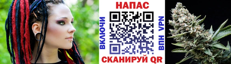 хочу наркоту  Новоржев  МАРИХУАНА Amnesia 